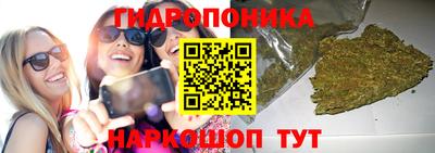 крисы Ангарск