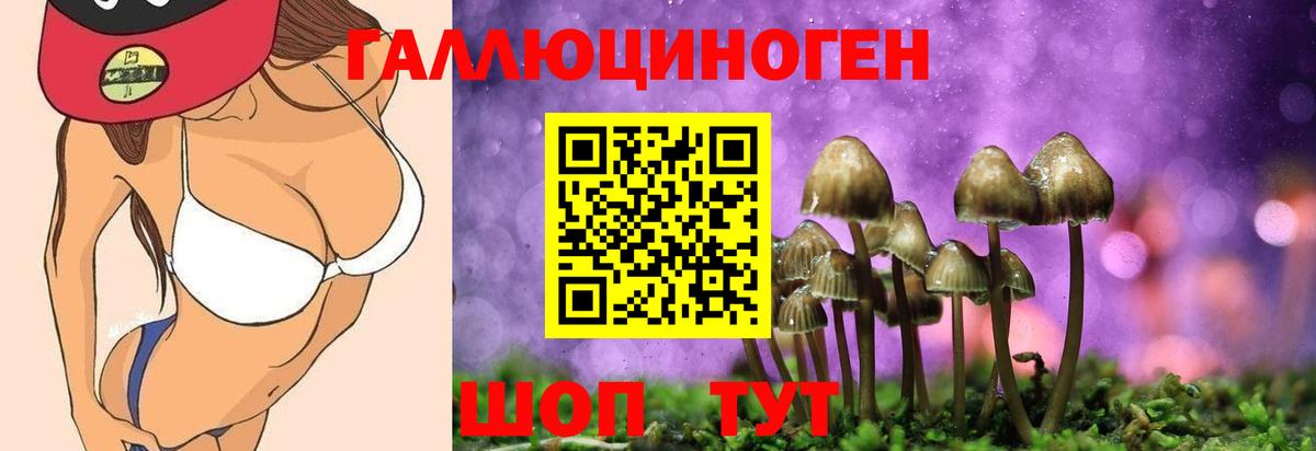 Астрахань  Галлюциногенные грибы Psilocybe  Вход с VPN  Галлюциногенные грибы мицелий 